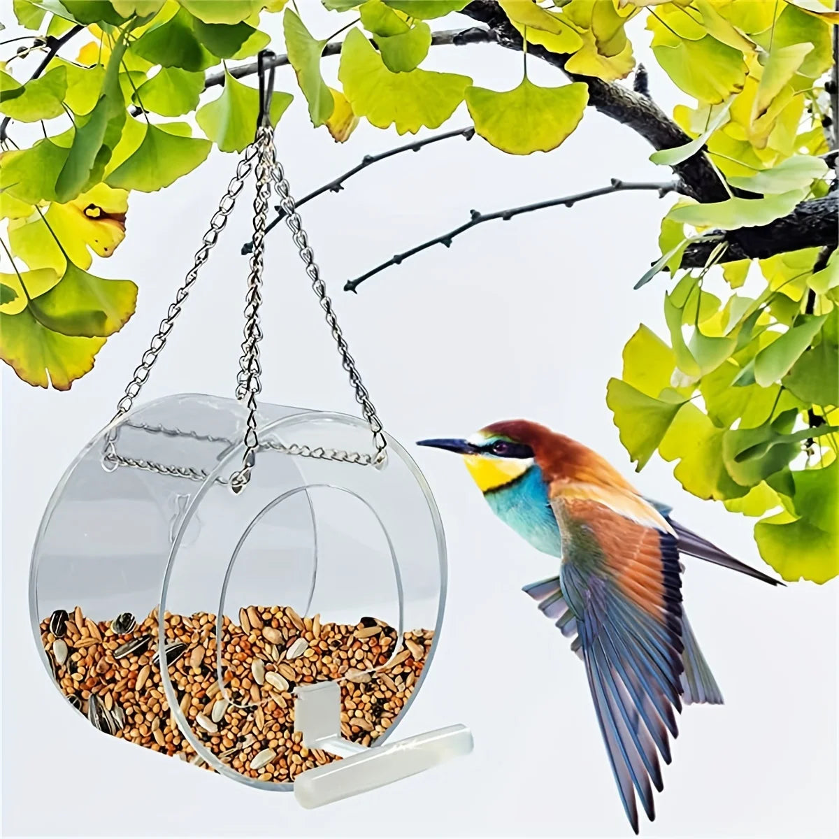 Round Acrylic Bird Feeder Courtyard Hanging And Bird Feeder With Suction Cup PMMA Bird Feeder Decoration